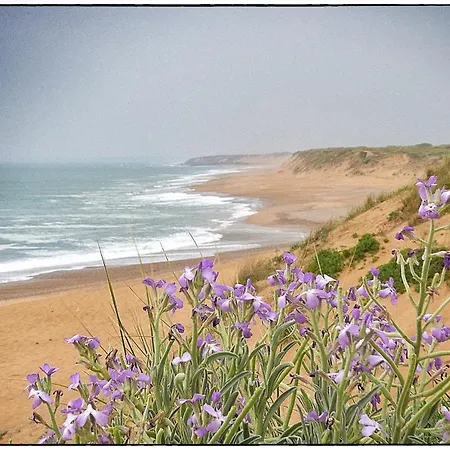 Lejlighed Palais 24 - Proche Plage Les Sables-dʼOlonne